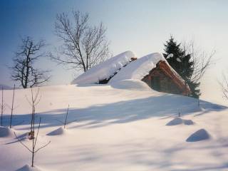 Tetti in paglia sotto la neve