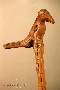 figura 13