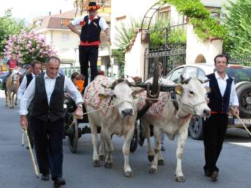 Carro di Roccavione in processione