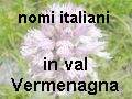 elenco nomi italiani