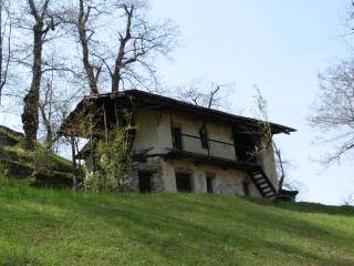 Cazot a Bosc Pouma