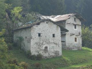 Fotou grosa - 200KB