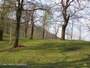 castagneto alla Cialancia Picture 4